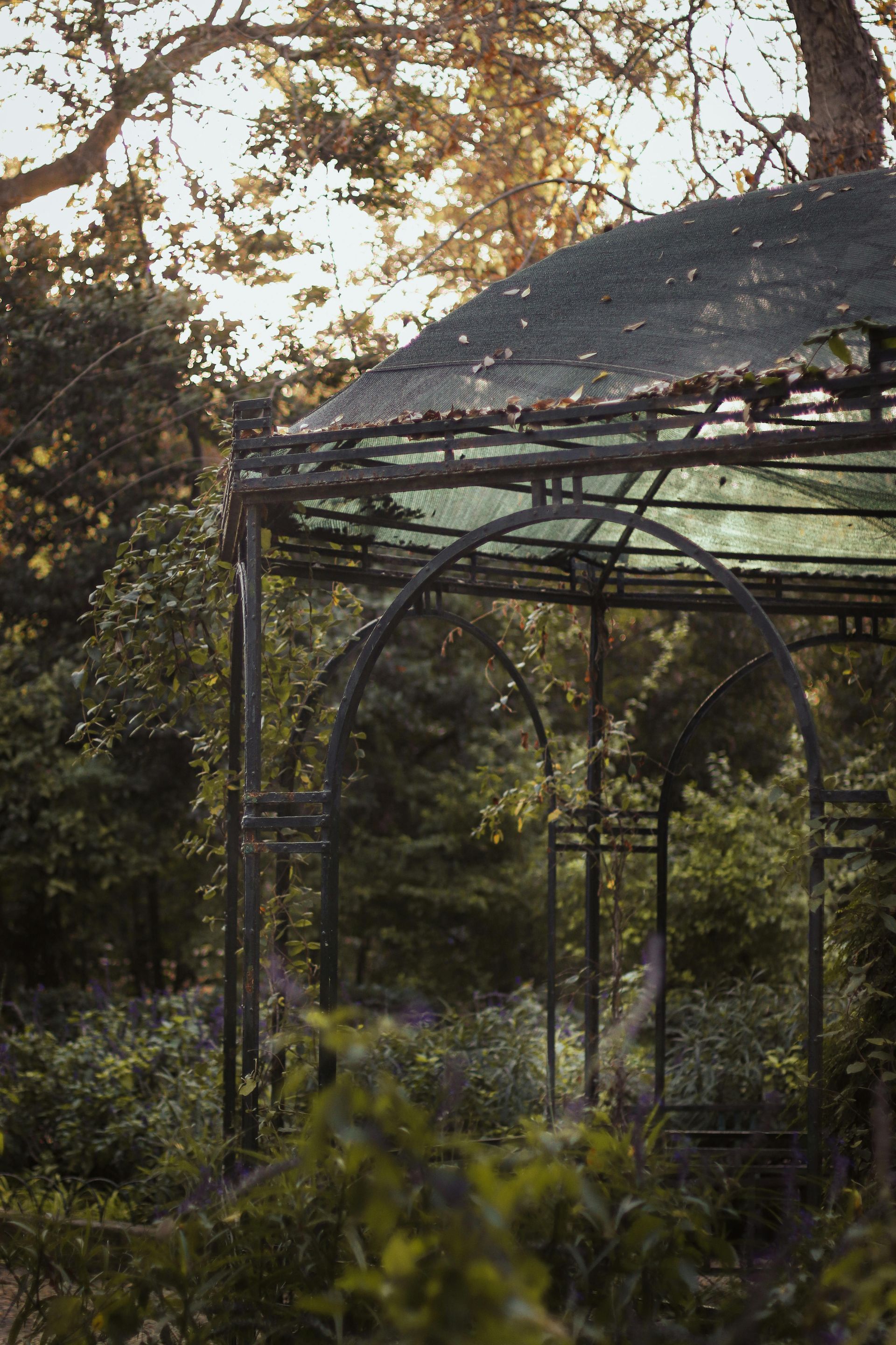 Worn metal gazebo in a lush, overgrown garden. Sunlight filters through the trees.