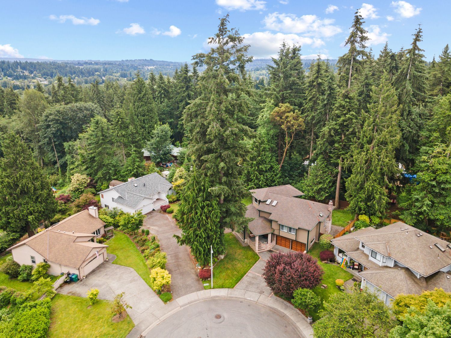 Drone shot of a residential area in Seattle, Washington, showcasing houses surrounded by lush trees by professional photographers near you.