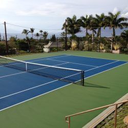 Tennis court with blue and green surface, net, and palm trees in the background near the ocean.