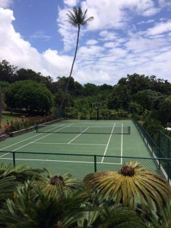 Tennis court with green surface, set amongst lush green foliage, under a blue sky with clouds.