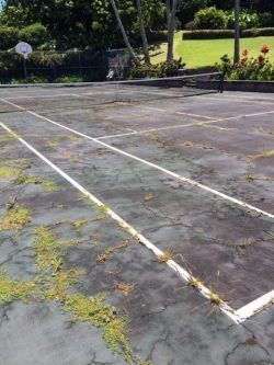 Overgrown outdoor tennis court with cracks, weeds, net, and basketball hoop.