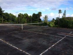 Overgrown tennis court with dark asphalt surface, white lines, net, surrounded by trees and ocean view.