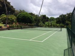 Green tennis court with white lines, net, and surrounding lush green trees under a cloudy sky.