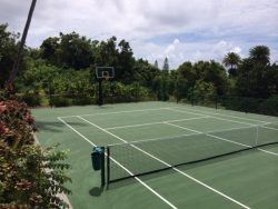 Green tennis court with basketball hoop, surrounded by trees and greenery. Cloudy sky.