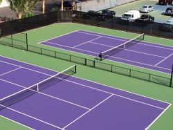 Two purple tennis courts with white lines, green surroundings, black fencing.