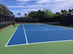 Blue tennis court with white lines; green surroundings, net, and black fence.