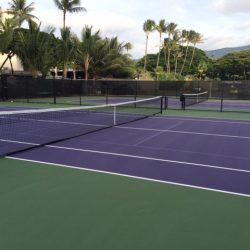Tennis courts with a purple playing surface, green run-off area, and palm trees in the background.