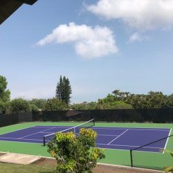 Tennis court with blue and green surface, net, and surrounding greenery under a blue sky with clouds.