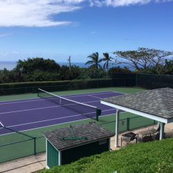 Tennis court overlooking ocean, with purple and green playing surface, a shelter and trees.