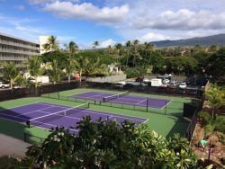 Tennis courts with purple playing surfaces, green surroundings, and a mountain backdrop.