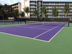 Tennis court with purple playing surface, green surround, palm trees, and a white building in the background.