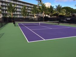 Tennis court with purple playing area, green surroundings, and palm trees, with a building in the background.