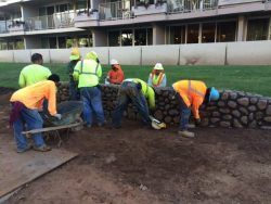 Construction workers building a stone wall outdoors; several wear safety vests and hard hats.