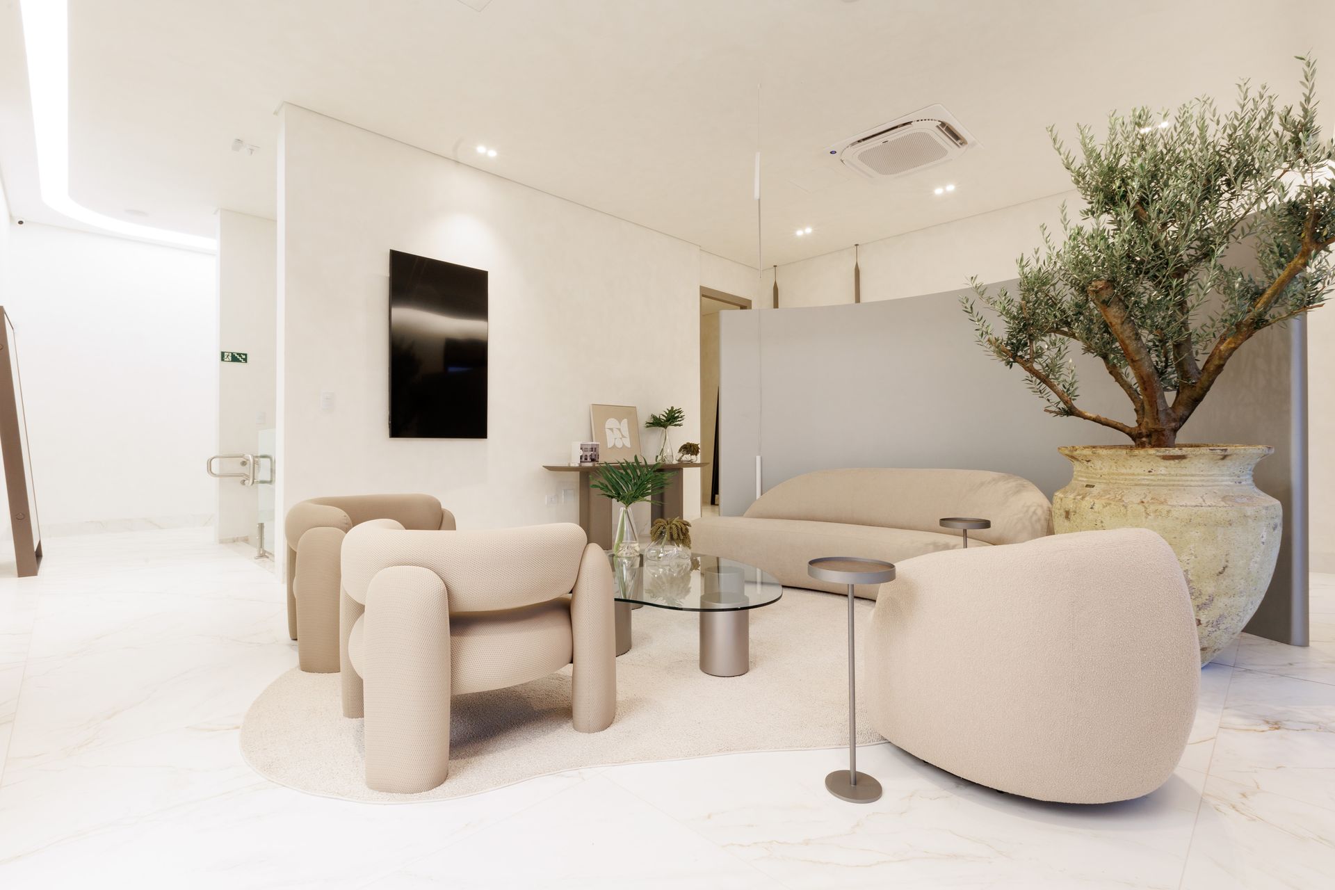 Foto do Instituto Kássila Nasser