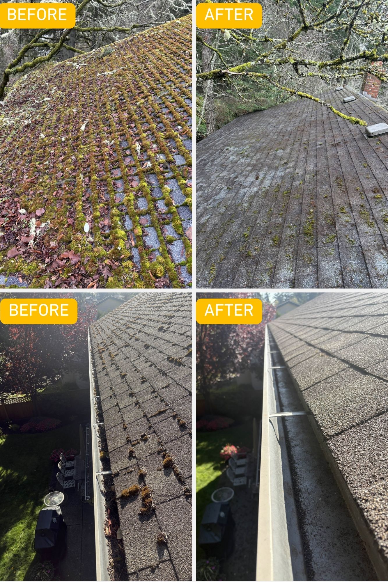 Before and after of a roof demossing and cleaning on a forested residential home