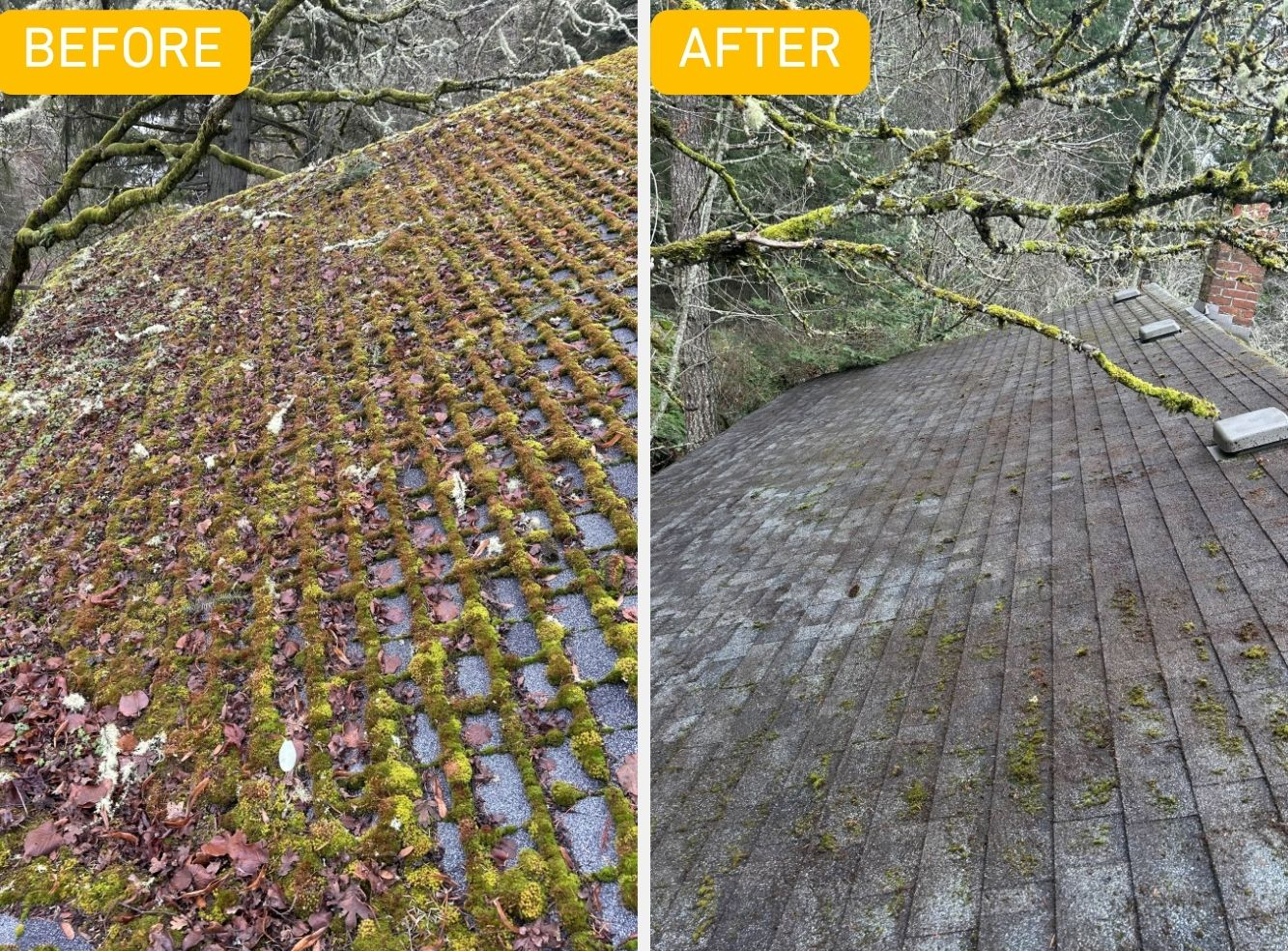 Before and after roof moss remediation