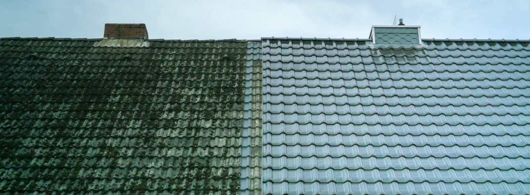 A steel shingled roof showing before and after moss removal and roof cleaning.