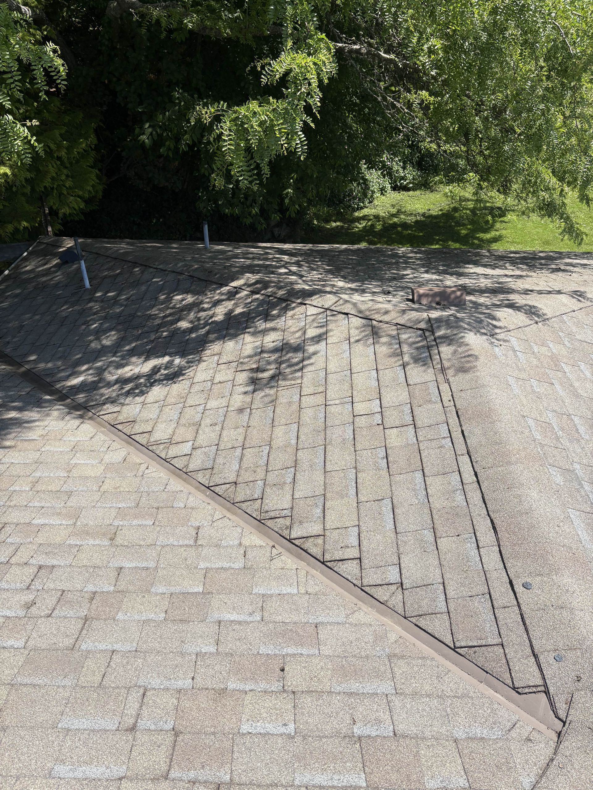 Your roof can look this clean too! A clean and curved roof after a moss removal service