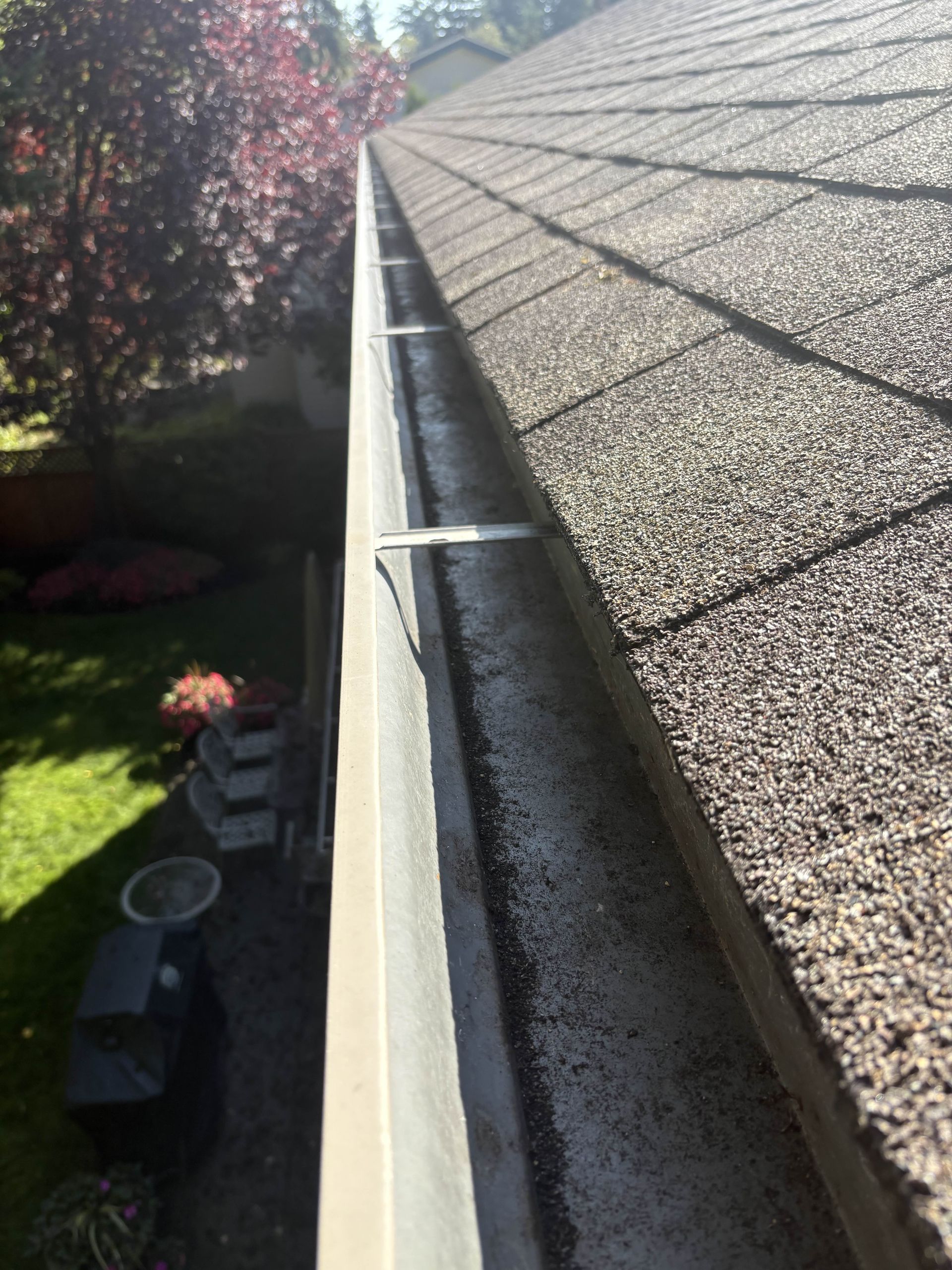A diagonal shot of a residential roof and gutter after a cleaning and moss removal service