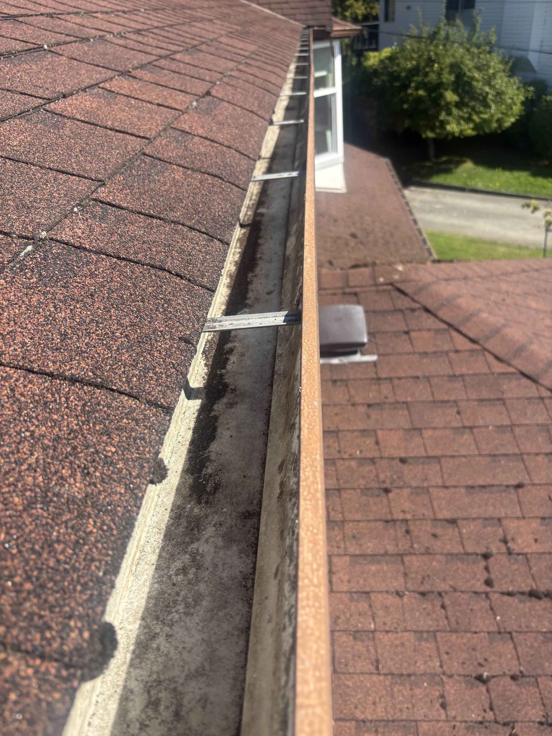 a clean roof and gutter after a moss removal and gutter cleaning service