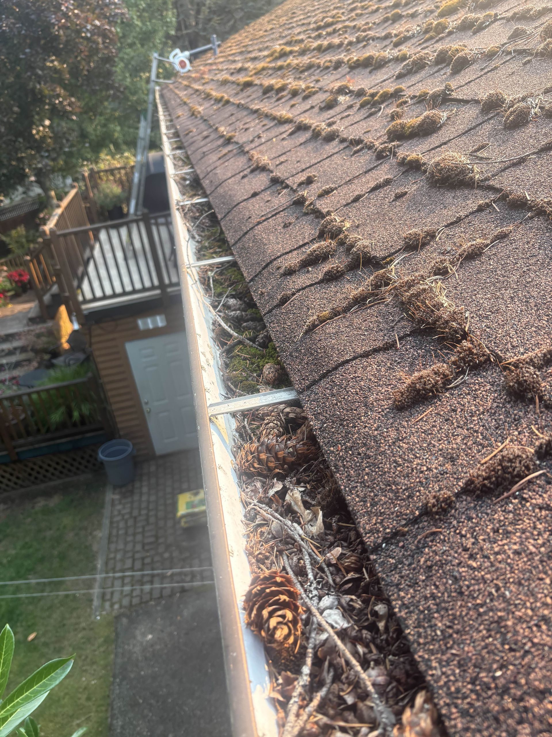 A residential roof showing moss growth on roof and debris in gutter