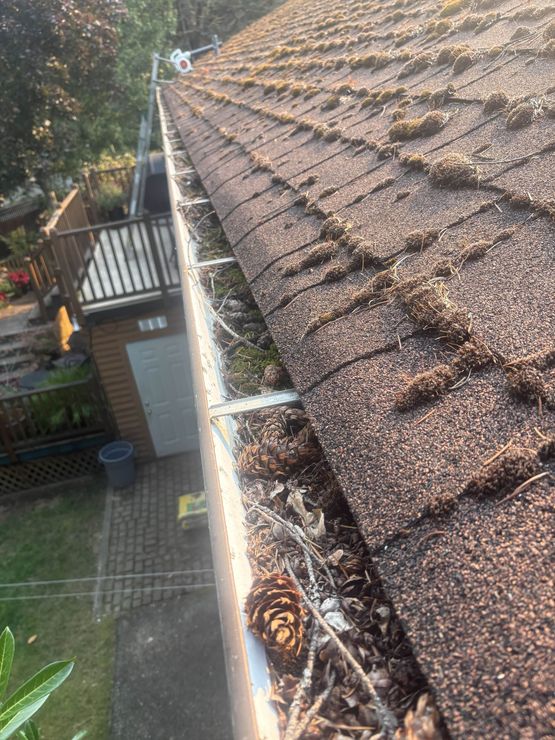 Your roof and gutters don't have to look like this for long! Mossy residential asphalt shingle roof with gutter full of pinecones and sticks
