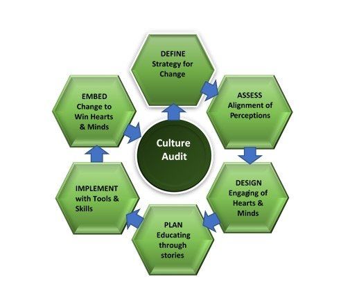 Viewpoint Innovation Culture Audit Process
