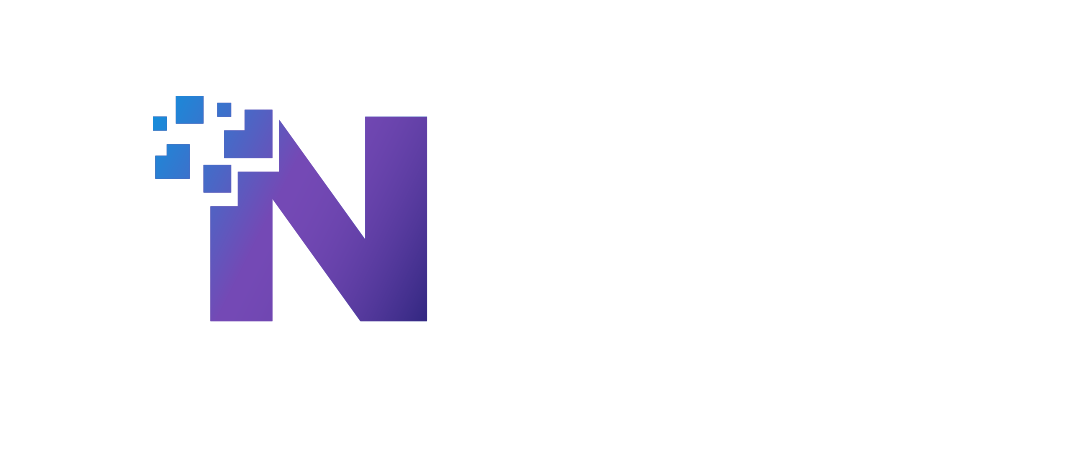 NSM IT SERVICES