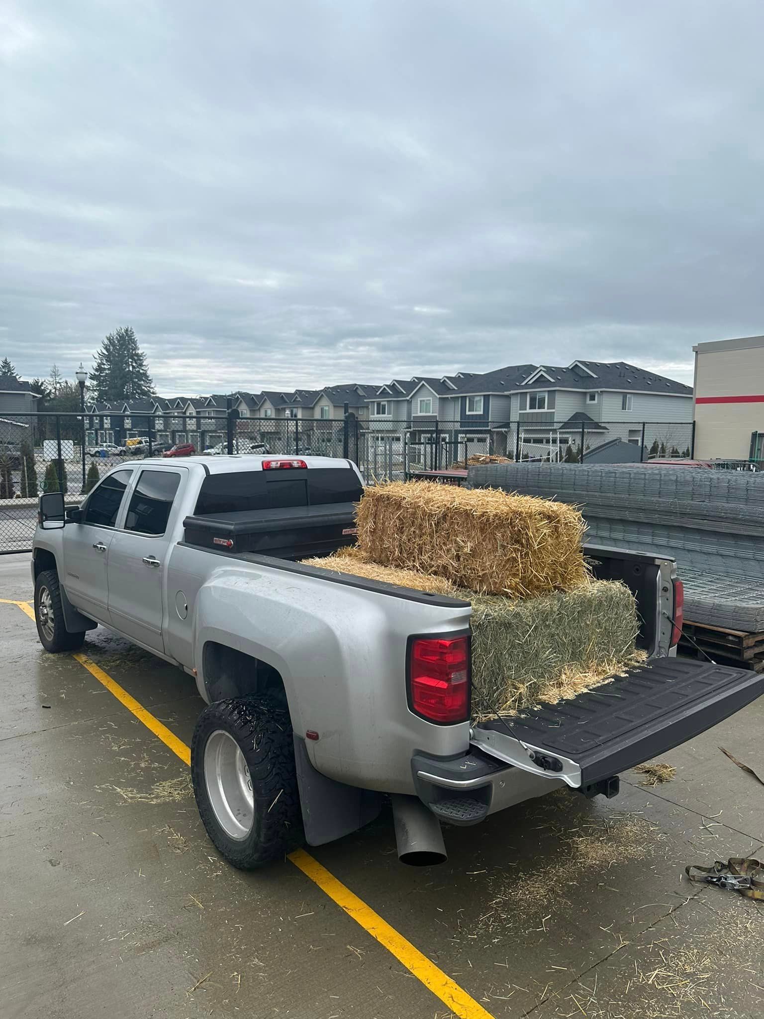 A silver truck is parked in a parking lot with hay in the bed.