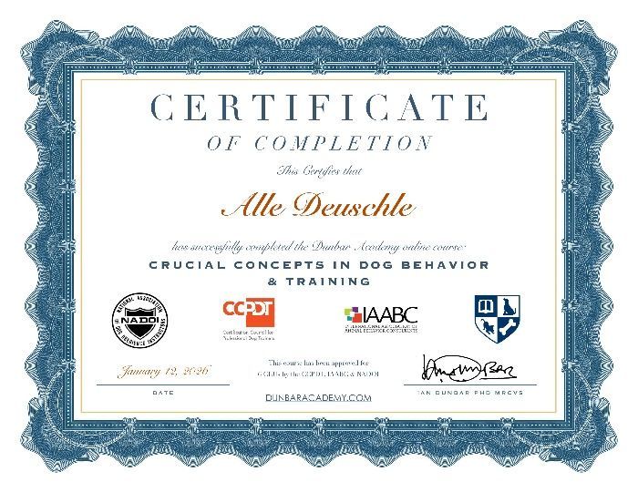 Certificate of completion for Alle Deuschle, who completed the Dunbar Academy course on Dog and Cat Behavior Problems.