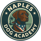 Naples Dog Academy Logo Chocolate Lab