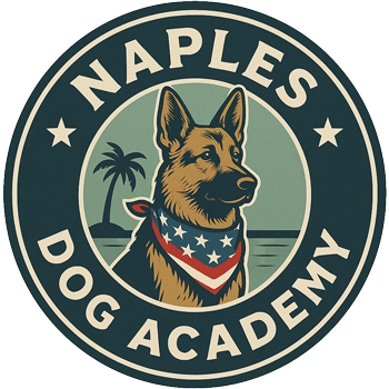 Naples Dog Academy logo with a German Shepherd wearing an American flag bandana, palm tree, and the ocean.