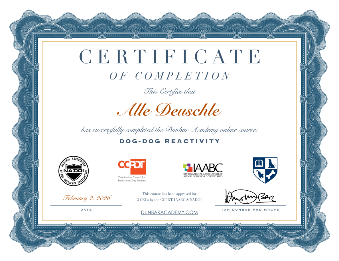 Certificate of Completion for dog reactivity course, with the name 