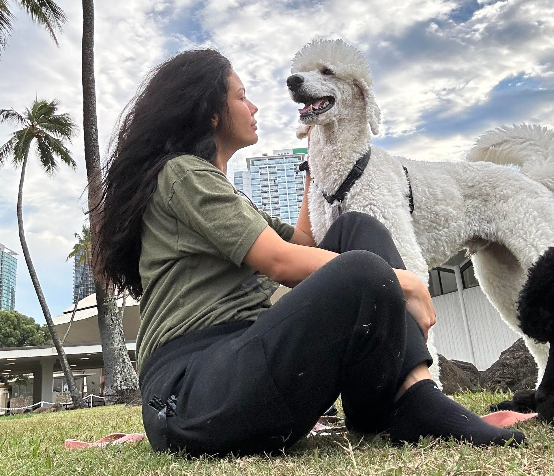 Woman with dark curly hair and a large white poodle sit on grass, looking at each other outdoors near palm trees.