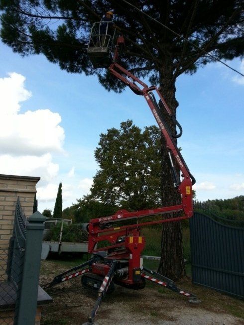 macchinari per potatura