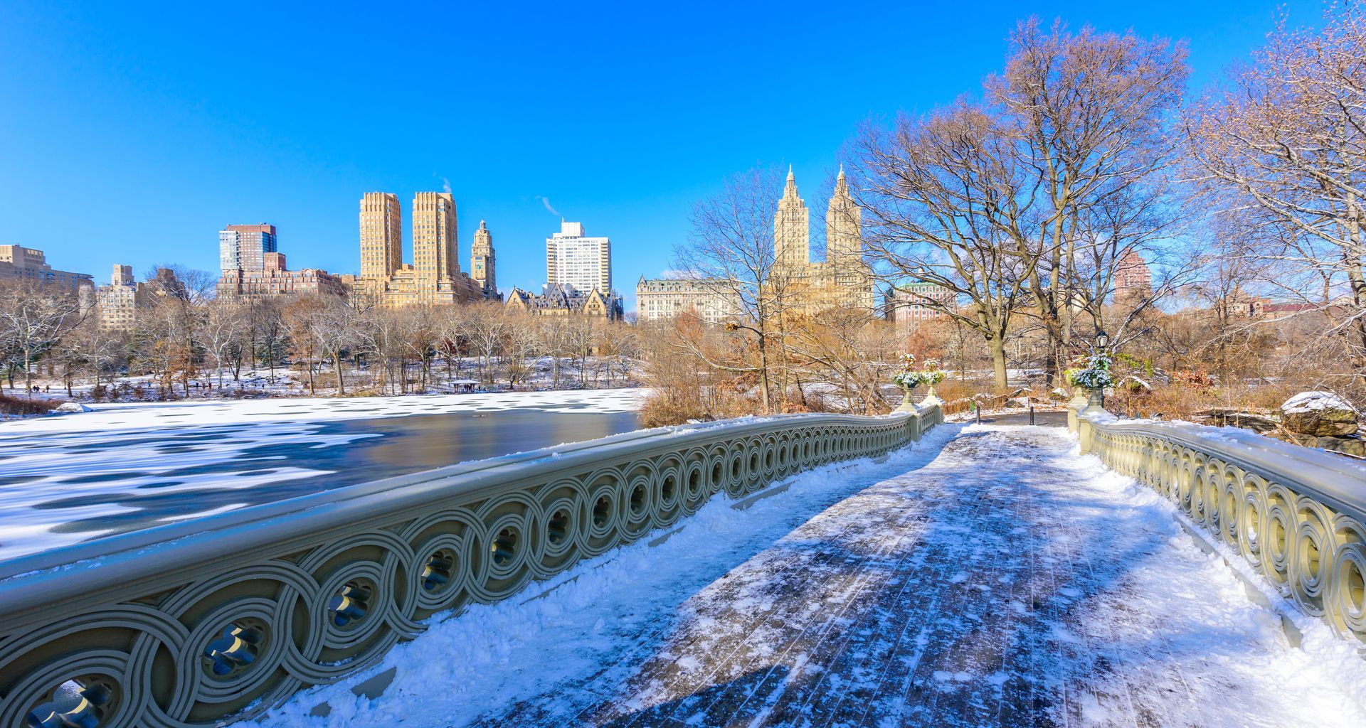 A bridge in central park covered in snow with a city skyline in the background.