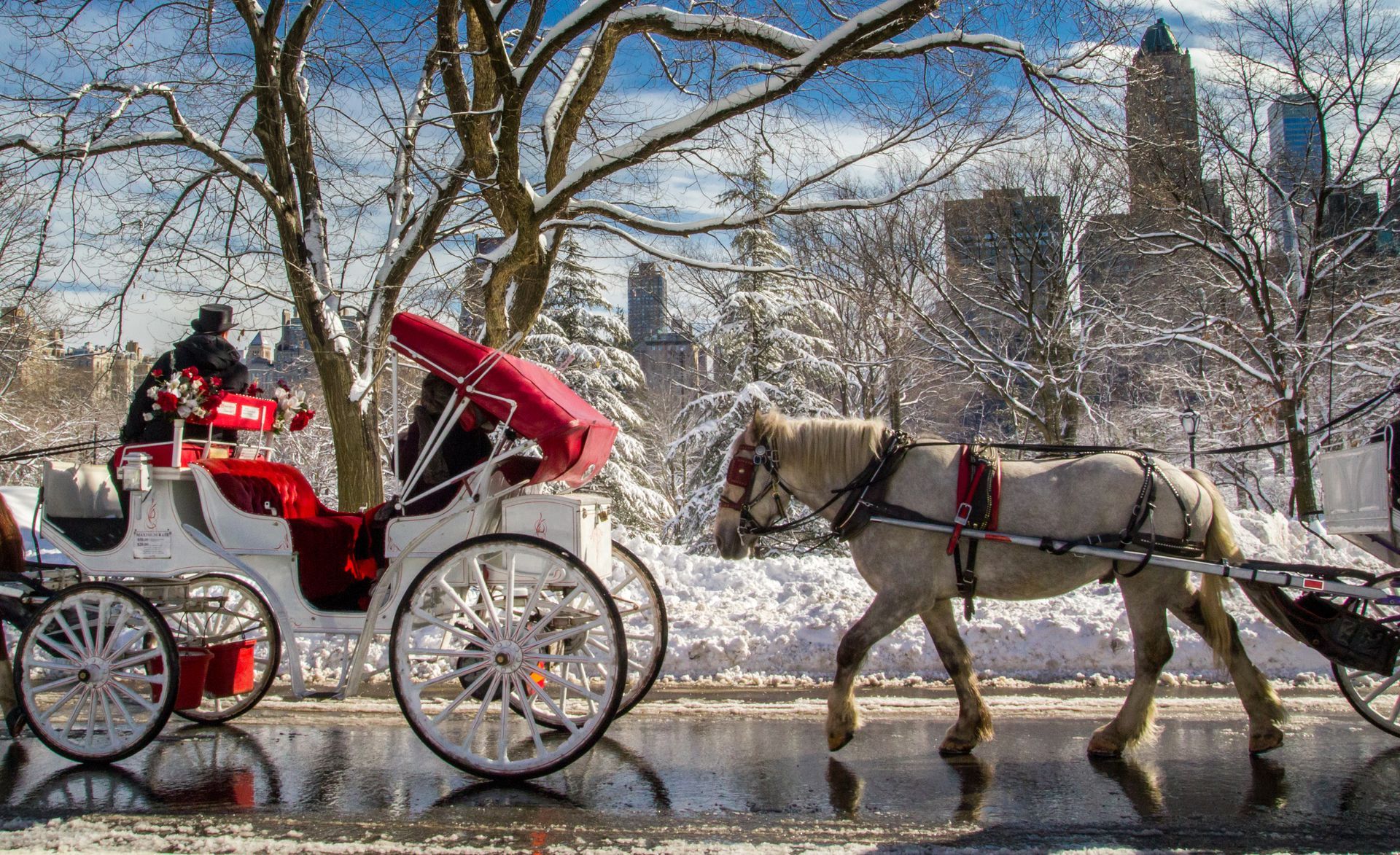 A horse drawn carriage is driving down a snowy street.