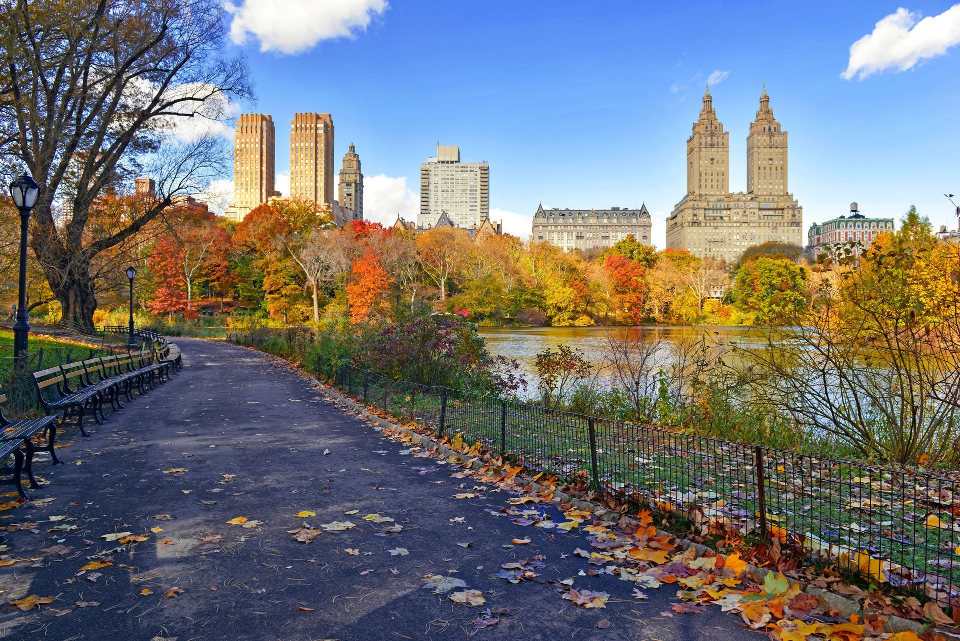 View from central park in autumn with a city skyline in the background.