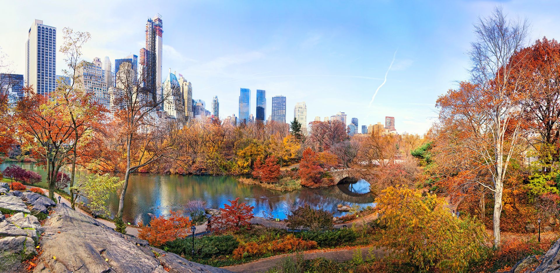 A panoramic view of central park in autumn with a city skyline in the background.