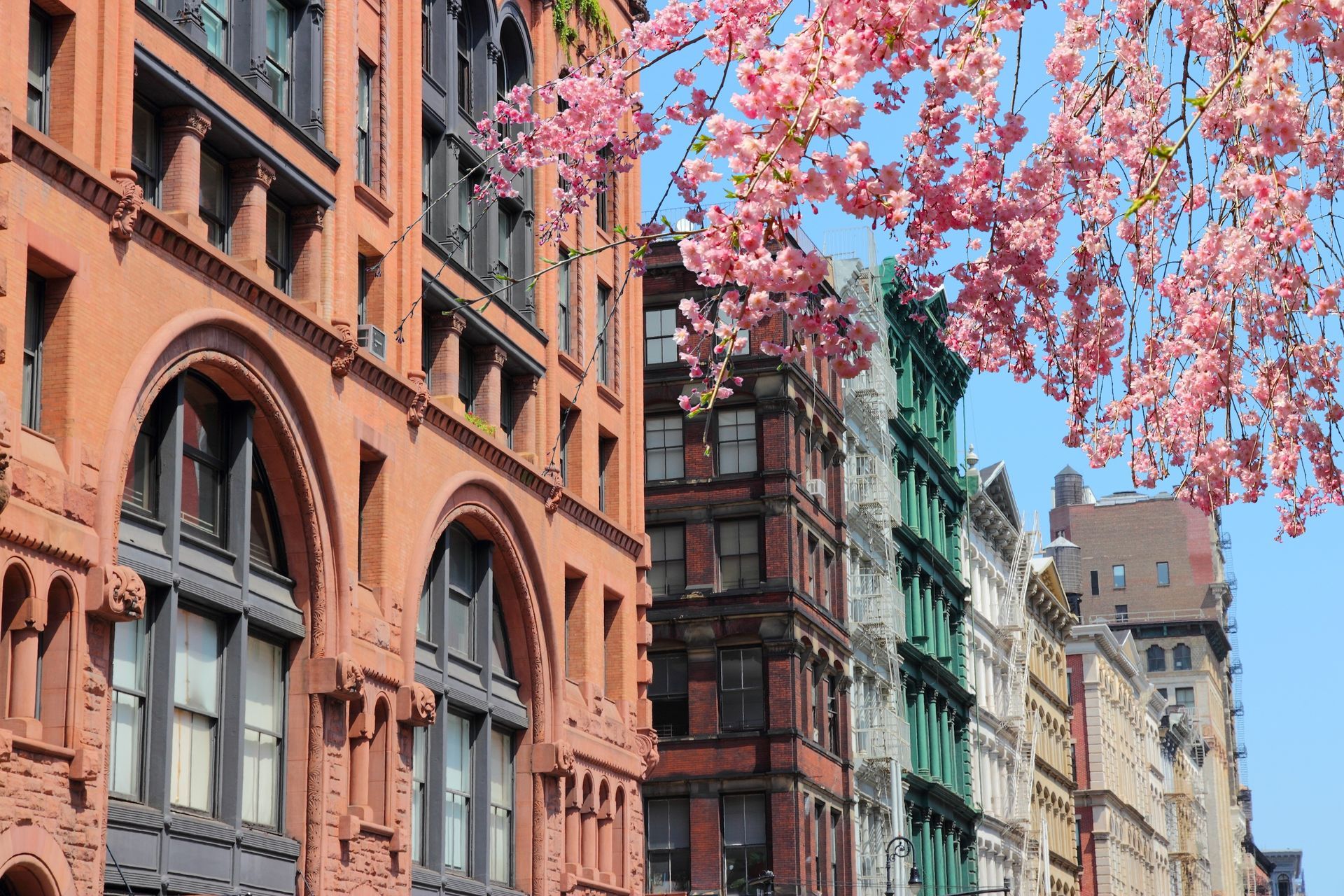 A row of buildings with pink flowers on them in a city.