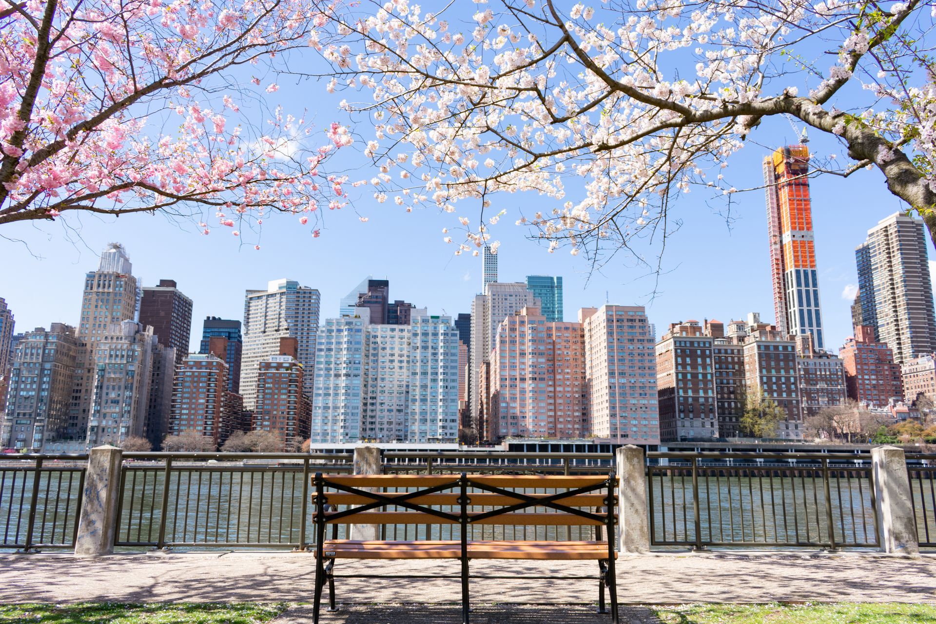 There is a bench in the foreground with a view of the city skyline in the background.