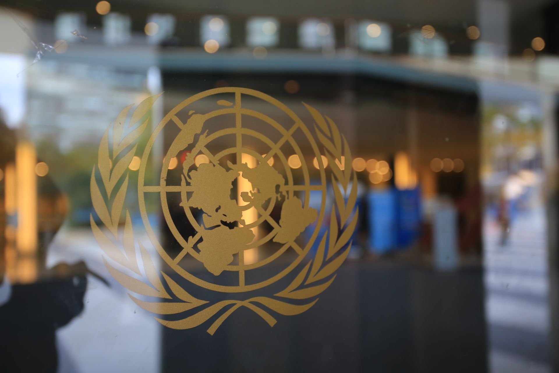 The logo for the united nations is on a glass door.