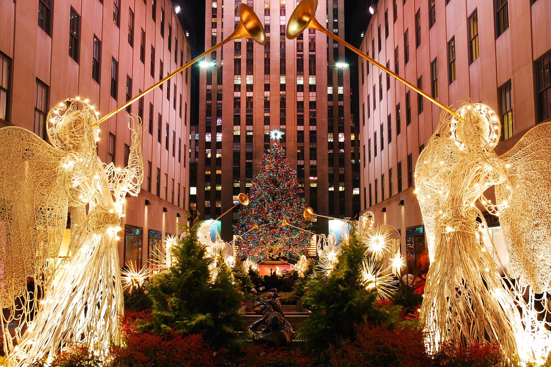 A christmas tree is lit up in front of a building