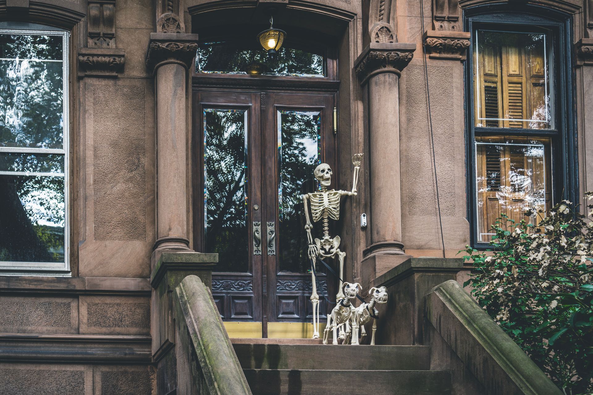 Skeleton and dog decorations on the steps of a brownstone building, ready for Halloween.
