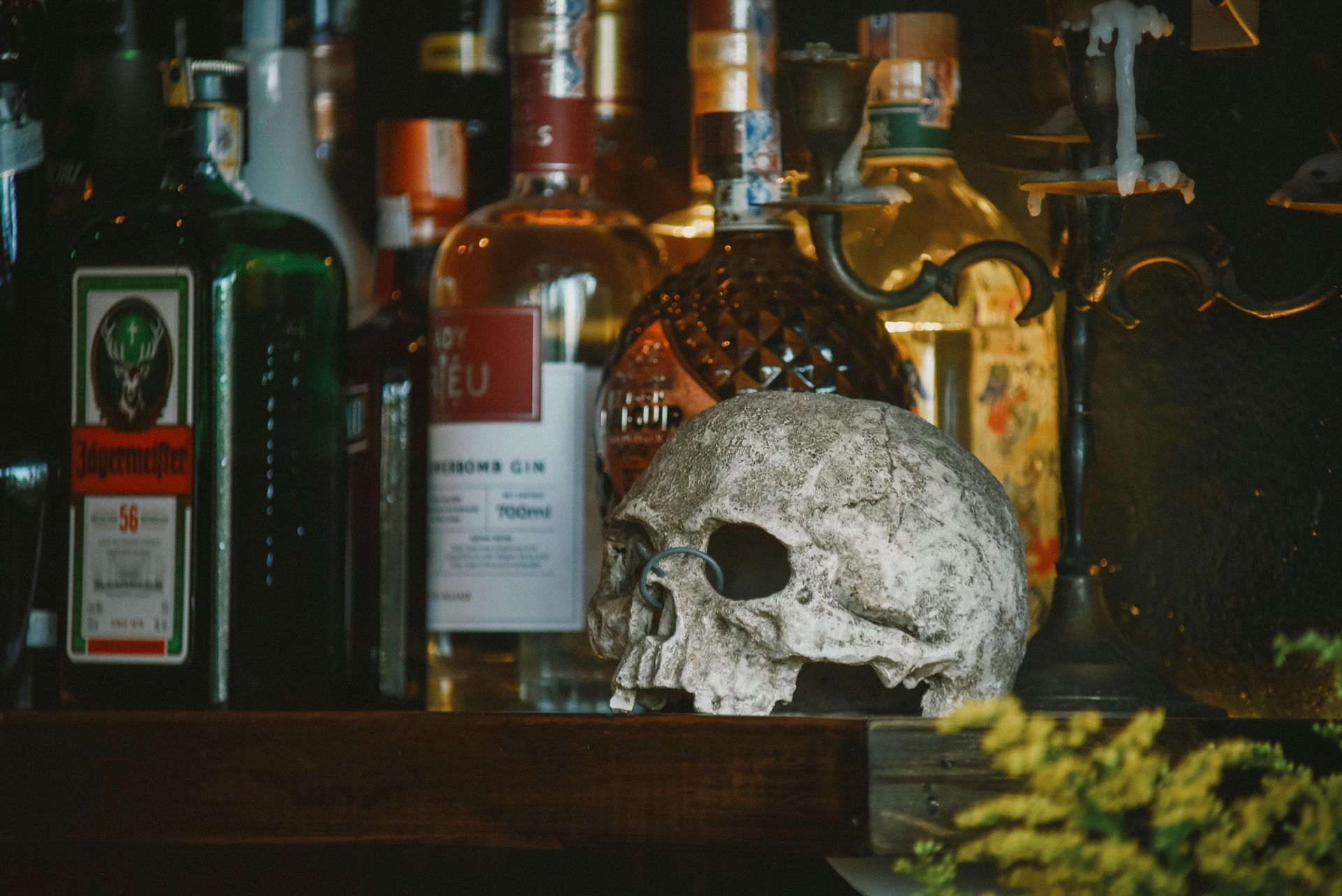 Skull on a bar shelf with bottles of liquor in the background.