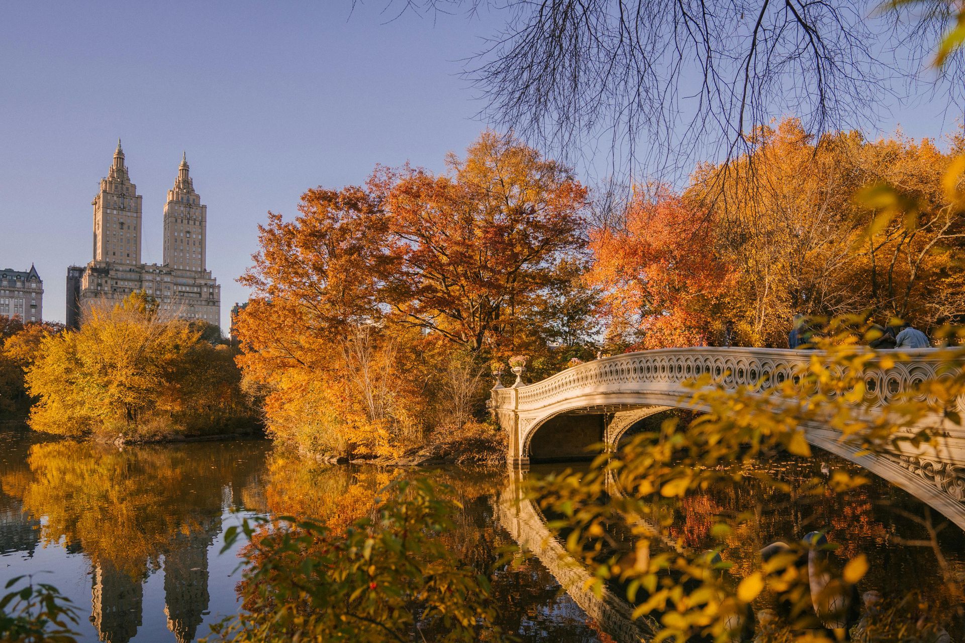 View from central park in autumn with a city skyline in the background.