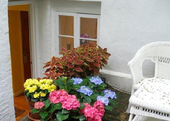 a potted plant with pink and blue flowers in front of a window