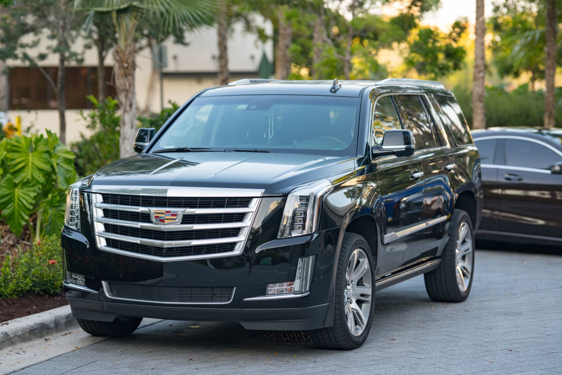 Black limousine parked under a hotel entrance. Palm trees and other cars are in the background.
