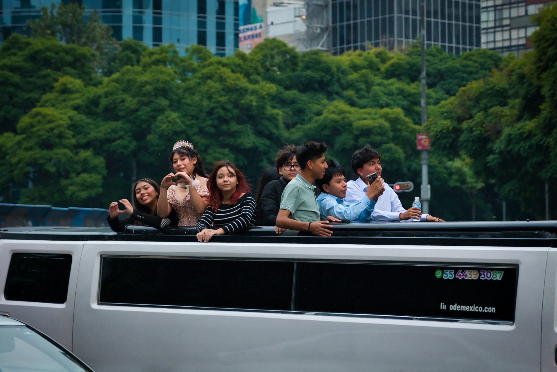 People in a white limousine looking out at city scenery with trees and buildings.