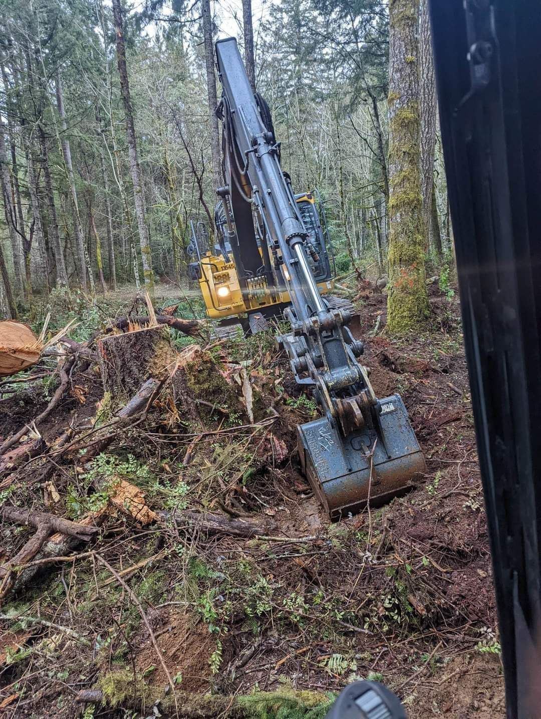 A large excavator is digging a hole in the middle of a forest -  Shelton, WA - D&T Excavating LLP